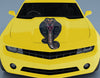 cobra snake decal on hood of yellow camaro